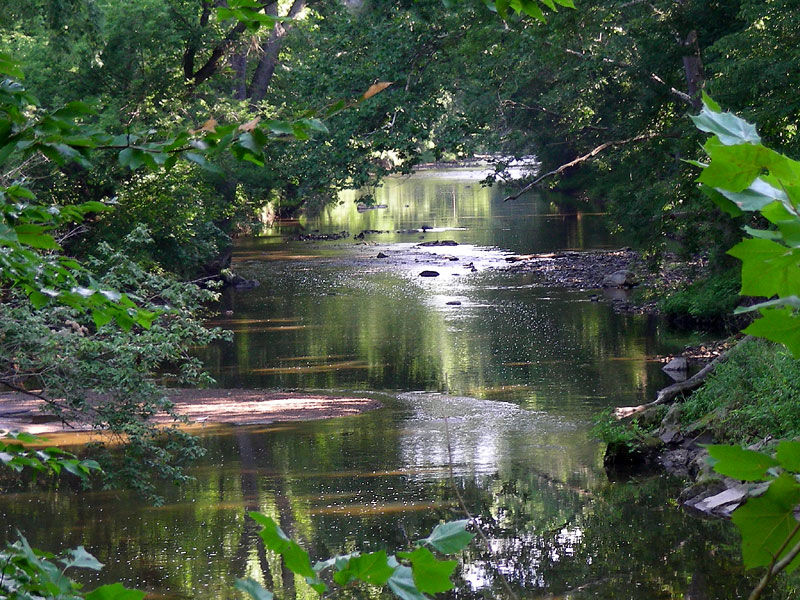White Clay Creek, August 2007